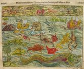 MUNSTERS SEA MONSTERS  MEERWUNDER UND SE...