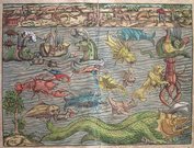 SEA MONSTERS   MUNSTER'S SEA MONSTERS