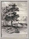 LE LIEVRE ET LES GRENOUILLES