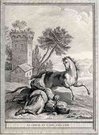 LE CHEVAL ET L'ANE