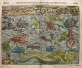MUNSTER'S SEA MONSTERS