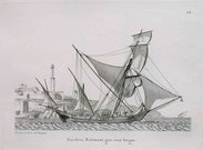 MARINE      SACOLEVA