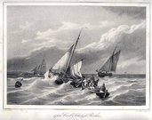 MARINE PAR CARL SCHULZ