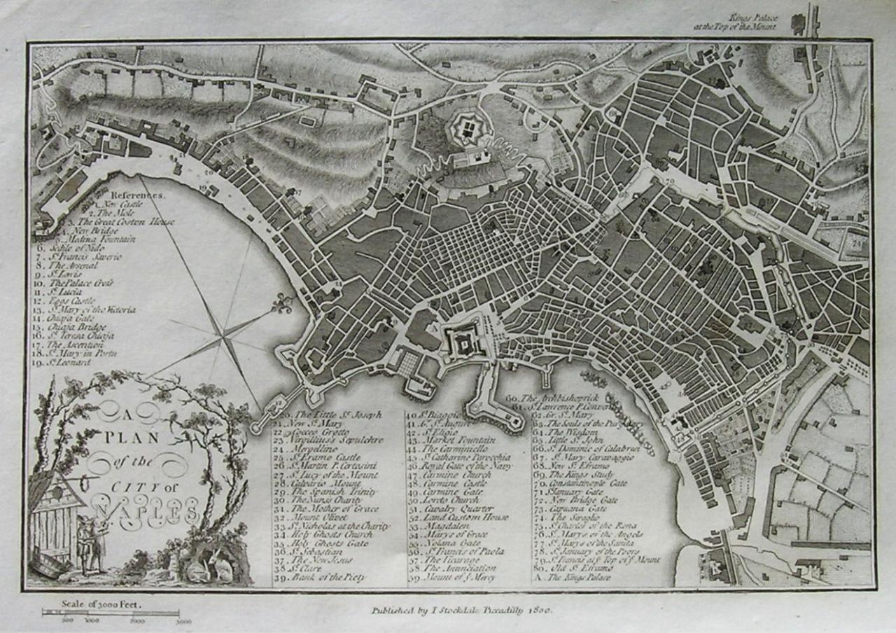 NAPLES A PLAN OF THE CITY OF NAPLES || Michael Jennings Antique Maps ... - M2394